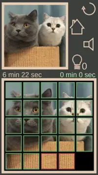 Collect The Cat Screen Shot 11
