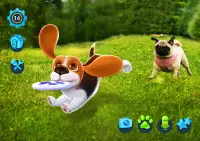 Tamadog - Pet Köpek oyunları Screen Shot 18