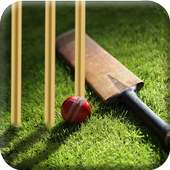 Learn Cricket 2017