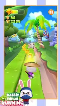 Temple Ninja Run - Endless Run in Wonderland Screen Shot 0