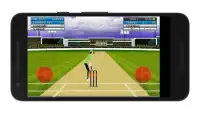 Cricket Mini Simulator Screen Shot 4