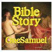 Bible Story Wordsearch Vol 9