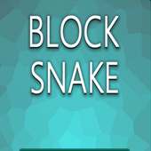 Block Snake