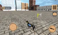 Police Dog Stunt Training Screen Shot 4