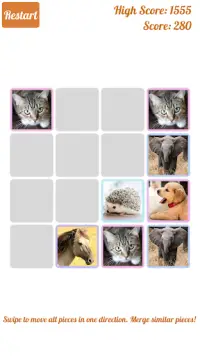 2048 Süße Tiere – Puzzle für Mädchen Screen Shot 0