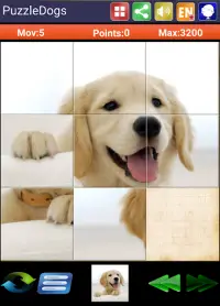 Cani puzzle scorrevole Screen Shot 6