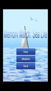 Memory Match: Sea Life Screen Shot 0