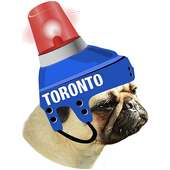 Toronto Hockey Photo Editor