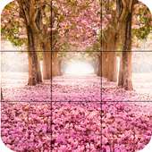 Puzzle - Beauty Of Nature