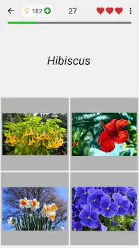 Flowers - Botanical Quiz about Beautiful Plants Screen Shot 3