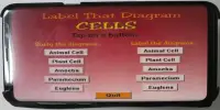Label that Diagram - Cells Screen Shot 1