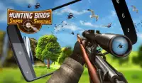 Hunting Birds: Sniper Shooting Screen Shot 2