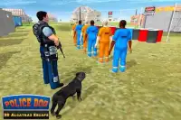 Polisi Dog 3D: Alcatraz melar Screen Shot 3