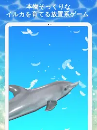 さわって！イルカの育成ゲーム Screen Shot 3