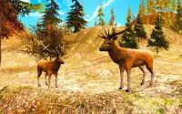 Deer Hunting Sniper Shooter Screen Shot 5