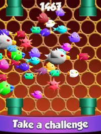 Divertido Juego de Pájaros 4 Screen Shot 5