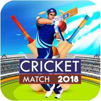 Cricket Match 2018