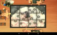 Mr. Rabbit’s Puzzle Free Screen Shot 10