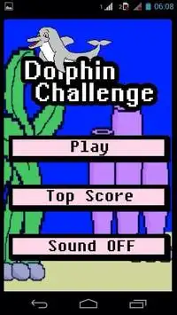 Dolphin Challenge Screen Shot 0