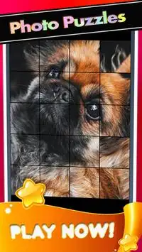 Puppies Yorkshire Pictures-Dog Animal Puzzle Game Screen Shot 3
