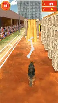 Crazy Dog Surfer - Endless Run Screen Shot 1