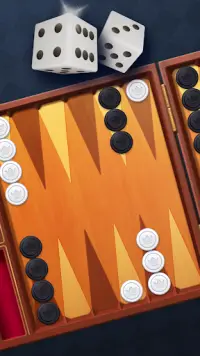 Backgammon Classic Screen Shot 0
