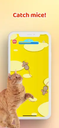 Games for Cat－Toy Mouse & Fish Screen Shot 0
