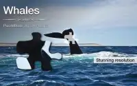 Whale Jigsaw Puzzles Demo Screen Shot 0