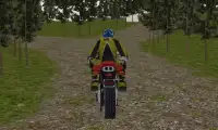 formula racing MOTORCROSS sim Screen Shot 3