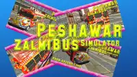 Peshawar Zalmi Bus Simulator Screen Shot 4