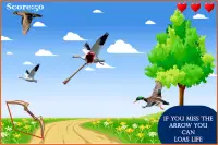 Birds shooter Angry Hunting Screen Shot 1