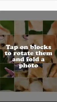 Cute Dog Tile Puzzle - Labrador Retriever Puppy Screen Shot 1