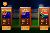 Cricket World Screen Shot 2