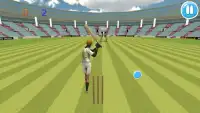 Cricket Bat Ball Hit 3D Screen Shot 2