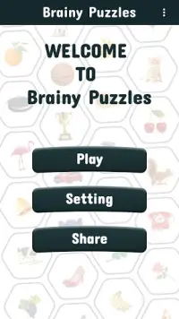 Brainy Puzzles Screen Shot 0