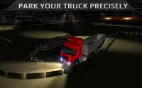 Night truck extreme parking Screen Shot 2
