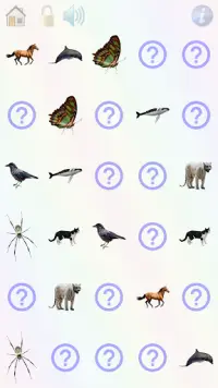 Play and learn: animals,colors,numbers,curiosities Screen Shot 4