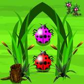 Beetle Rush Run