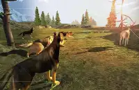 Dog Chase Simulator Screen Shot 3