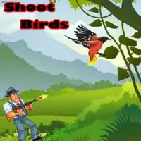 Shoot Birds Screen Shot 0