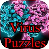 Ebola Virus Puzzle