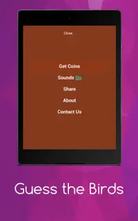 Adivinhar aves Screen Shot 17