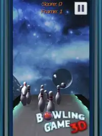 Bowling Game 3D Screen Shot 1
