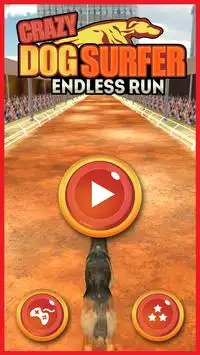 Crazy Dog Surfer - Endless Run Screen Shot 13