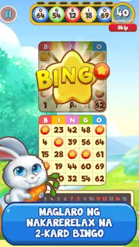 Bingo: Free the Pets Screen Shot 1