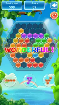 Hexagon Block Puzzle - Hex Match & Magic Tiles Screen Shot 2