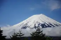 Delicate Mount Fuji Jigsaw Puzzles Screen Shot 2