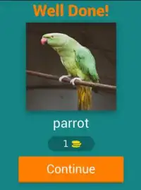 Bird Name Quiz Screen Shot 1