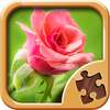 Flower Puzzles Games