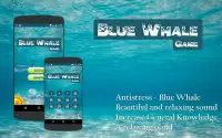 Antistress Blue Whale Game Screen Shot 0